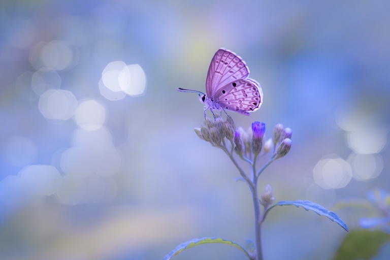 geestelijke verzorging shutterstock_396645022_
